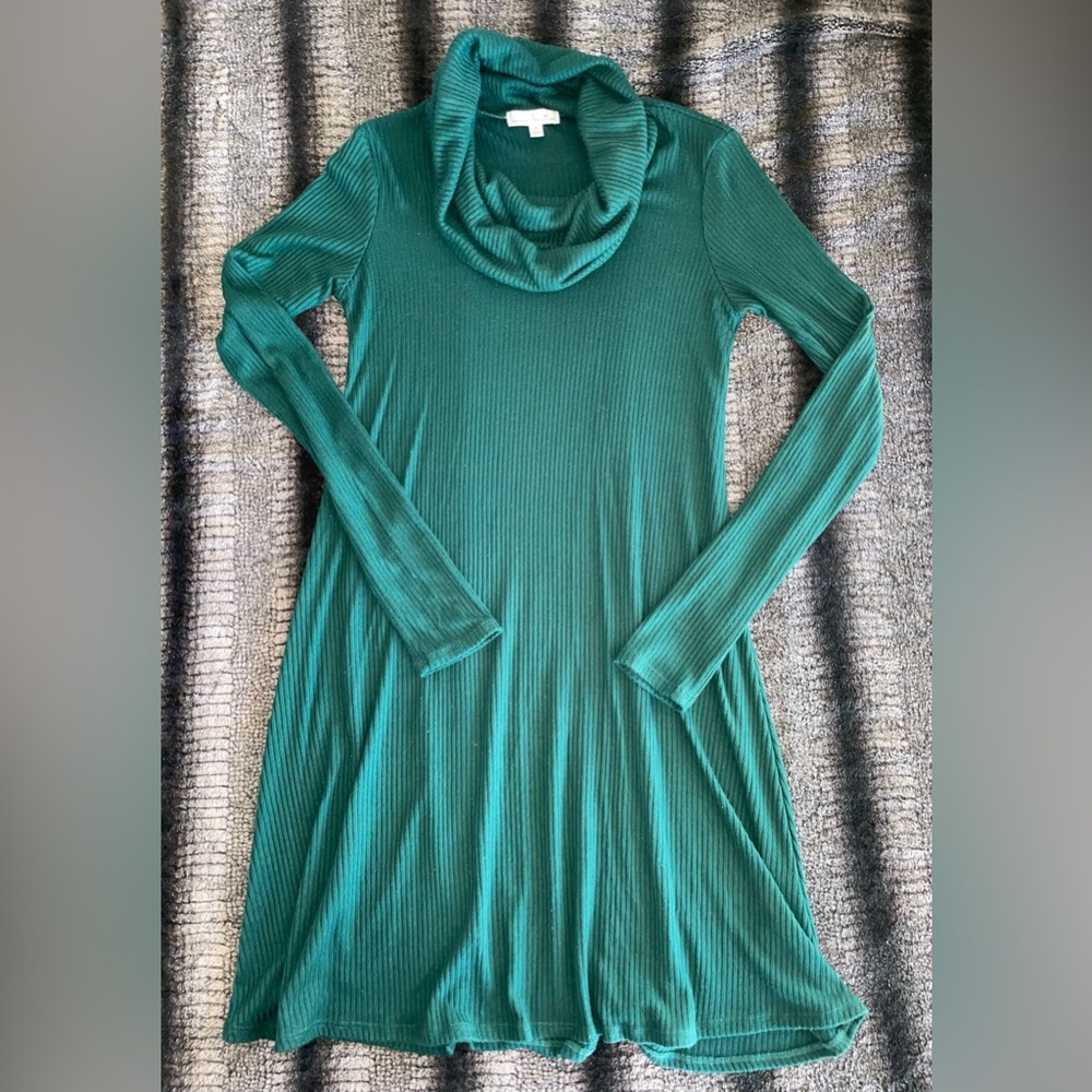 Long sleeve mock neck ribbed mini dress.